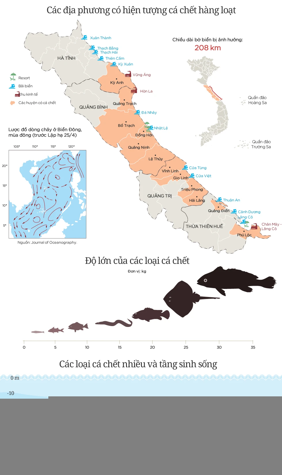 Cá chết lan rộng ở miền Trung như thế nào