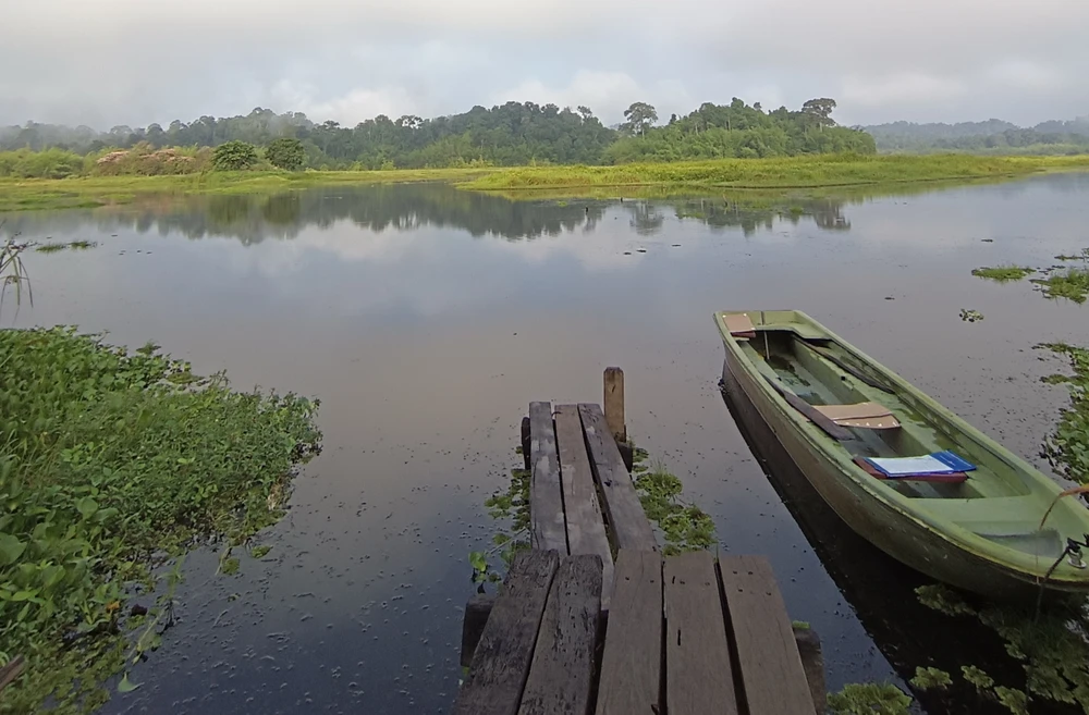 Bàu Sấu chuyển dần cảnh sắc khi sương tan.