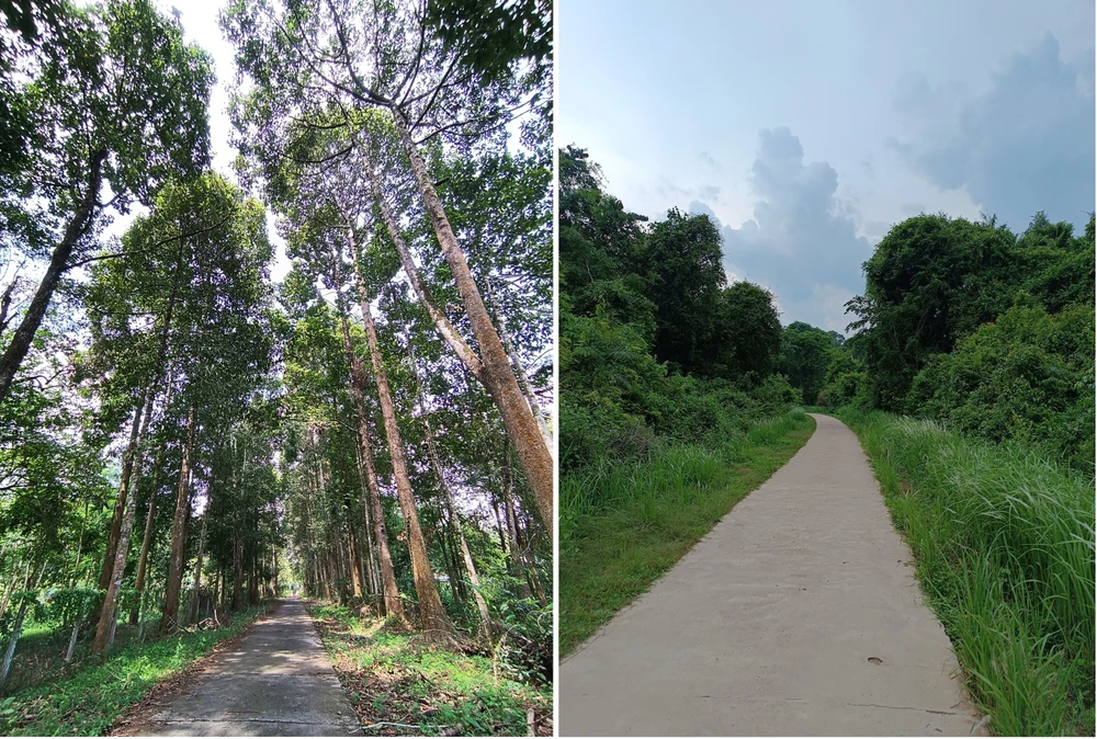 Đường đạp xe trong VQG Cát Tiên lát bê tông sạch sẽ, thông thoáng.