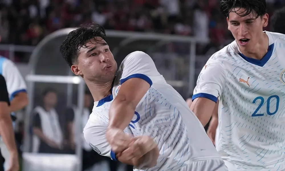 đội tuyển Indonesia