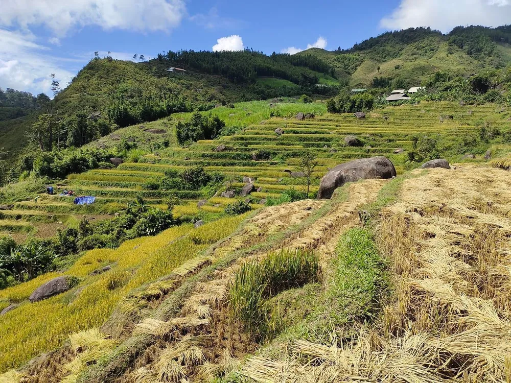 Các hộ đồng bào dân tộc Mông sinh sống ở trên đồi cao nhất. Ảnh: Thanh Hảo.