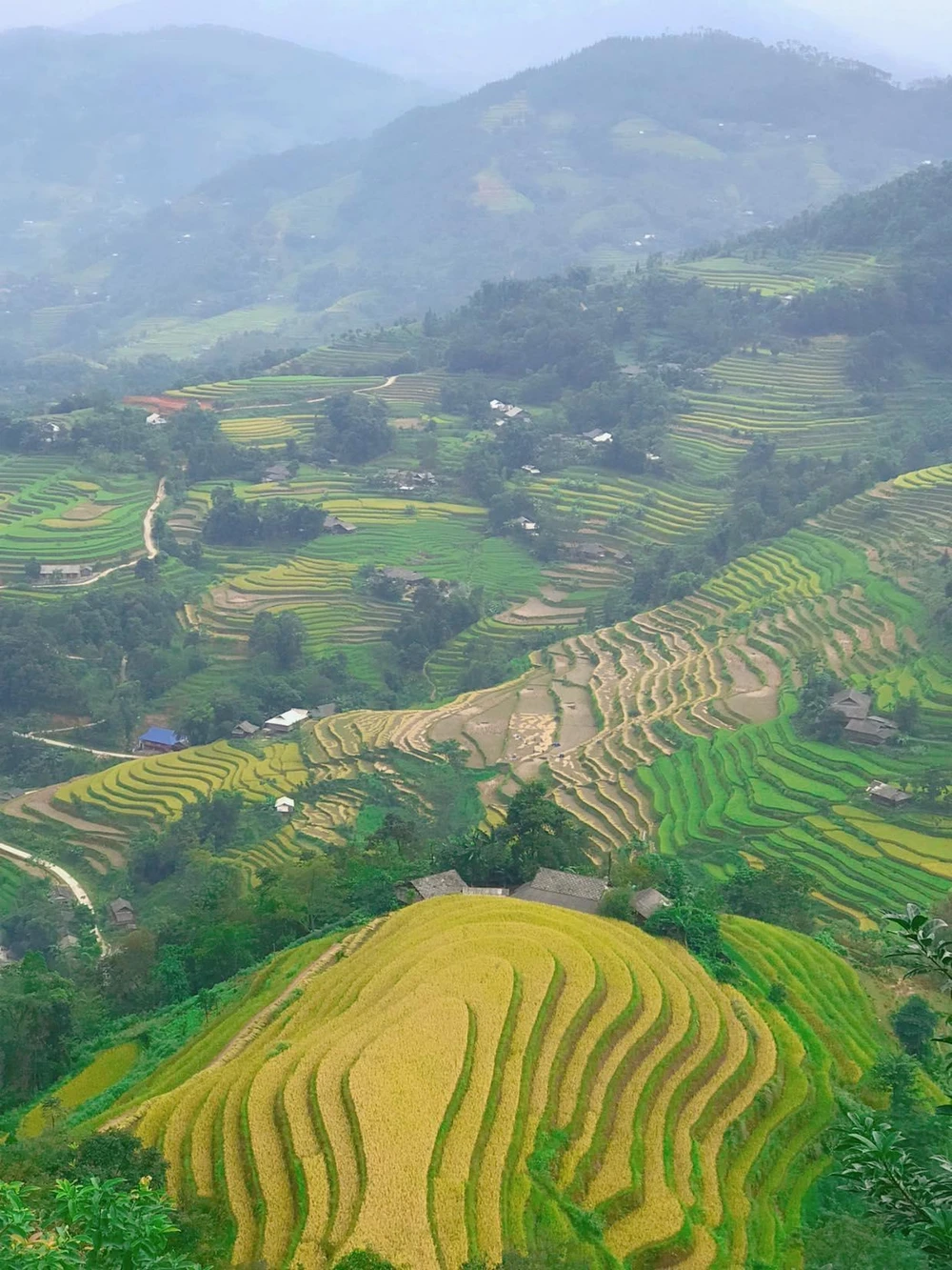 Cảnh quan thiên nhiên ở đây đa dạng, tạo nên một bức tranh muôn màu.