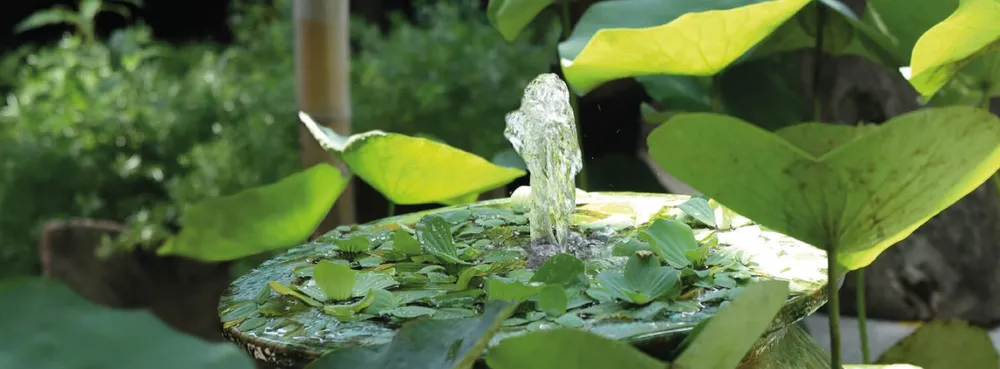 Một góc không gian của nhà hàng Vegetarian. Ảnh: Thetravel.