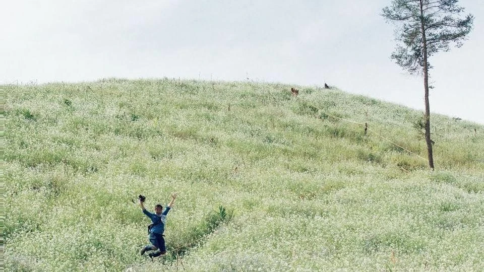 Giới trẻ thích thú với các triền đồi hoa cải trắng. Ảnh: CHÍ NAM.