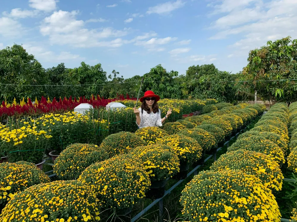 Du khách "check-in" bên vườn hoa. Ảnh: PL. Du khách "check-in" bên vườn hoa. Ảnh: PL.