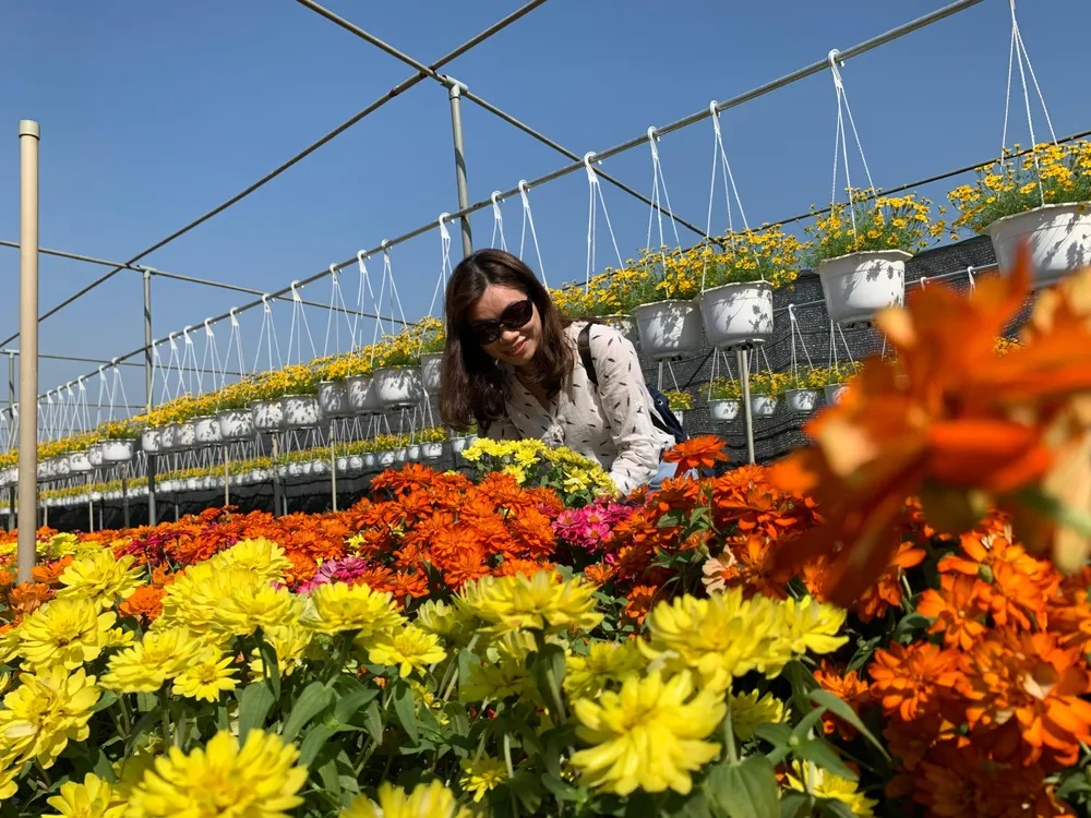 Du khách "sống ảo" bên vườn hoa. Ảnh: PL. Du khách "sống ảo" bên vườn hoa. Ảnh: PL.