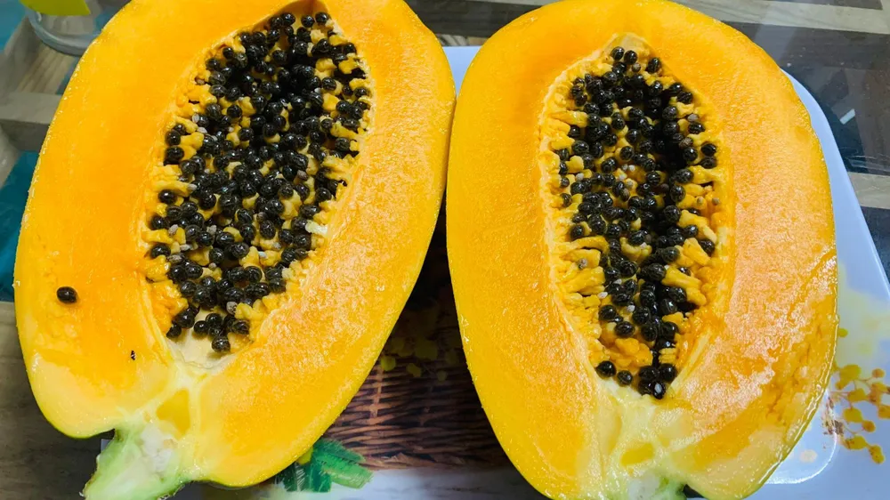 Đu đủ chứa nhiều chất xơ hỗ trợ đường tiêu hóa khỏe mạnh. Ảnh: PHƯƠNG LÊ. Đu đủ chứa nhiều chất xơ hỗ trợ đường tiêu hóa khỏe mạnh. Ảnh: PHƯƠNG LÊ.