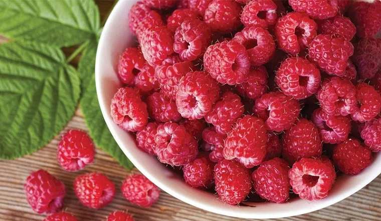 Quả mâm xôi là nguồn cung cấp năng lượng chống oxy hóa với hàm lượng vitamin C cao. Ảnh: Internet.