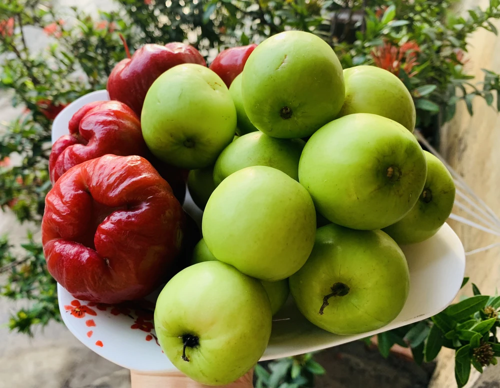 Ăn trái cây tráng miệng là tốt nhất cho người bị tiểu đường trong dịp tiệc tùng. Ảnh: PHƯƠNG LÊ. Ăn trái cây tráng miệng là tốt nhất cho người bị tiểu đường trong dịp tiệc tùng. Ảnh: PHƯƠNG LÊ.