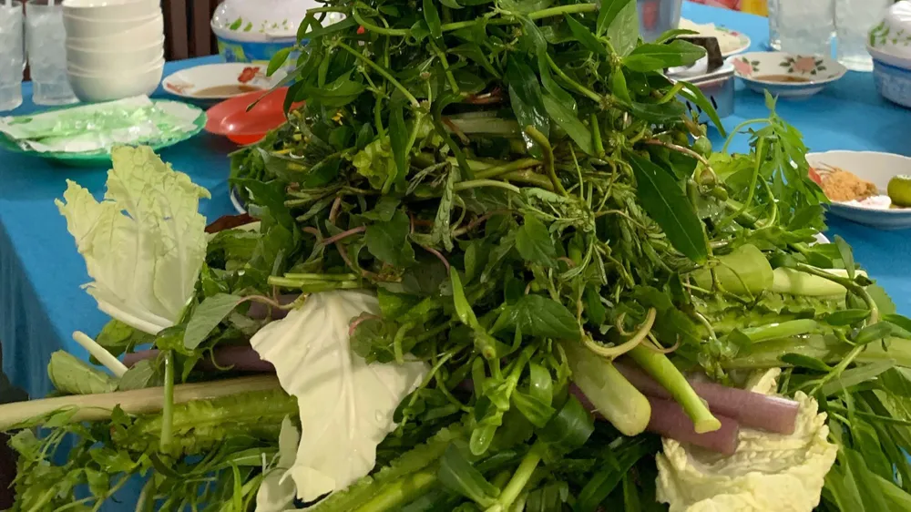 Rau lá xanh đậm là nguồn cung cấp vitamin E và folate dồi dào. Ảnh: PHƯƠNG LÊ. Rau lá xanh đậm là nguồn cung cấp vitamin E và folate dồi dào. Ảnh: PHƯƠNG LÊ.