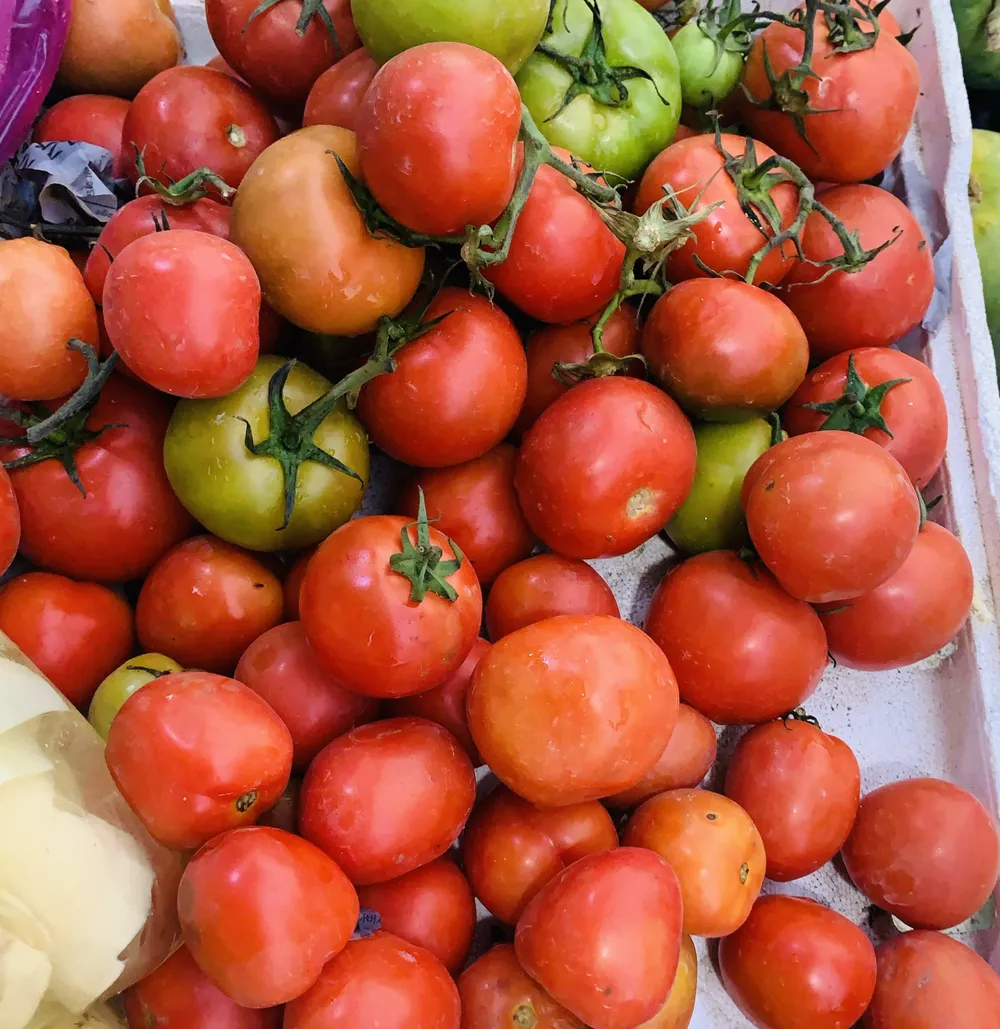 Cà chua là nguồn cung cấp dinh dưỡng giàu chất chống oxy hóa bảo vệ tim. Ảnh: PHƯƠNG LÊ.