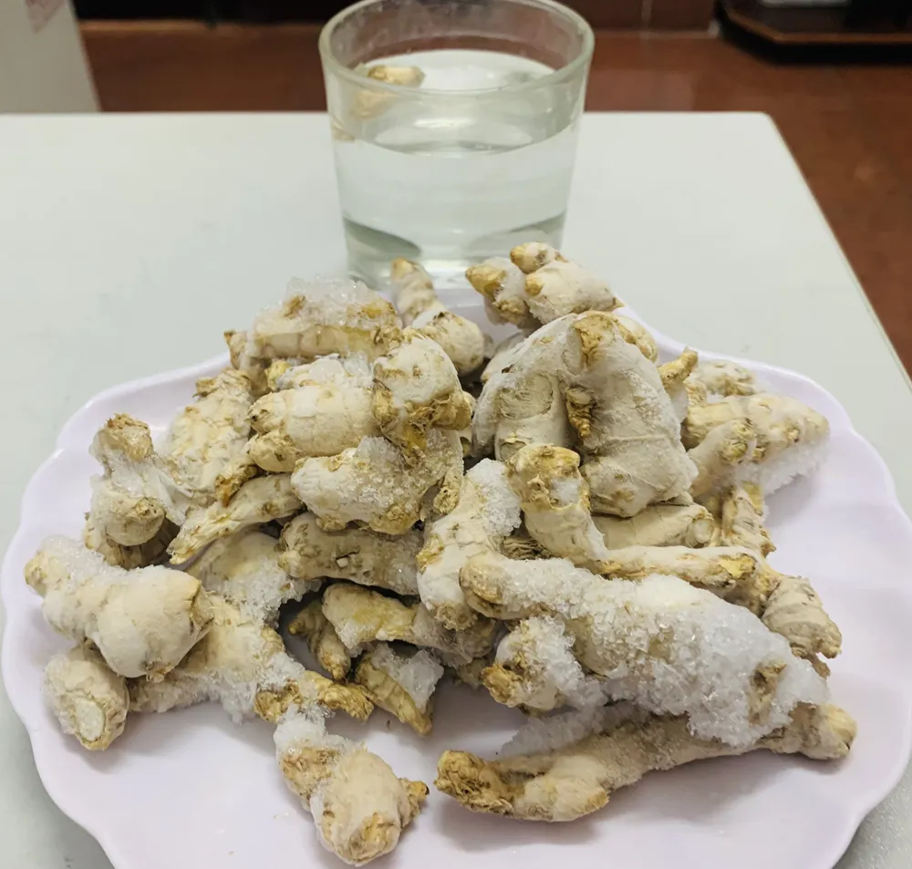 Ăn gừng cũng có thể giảm bị đau cơ, tê nhức chân tay và sưng khớp vì gừng chứa chất gingerol. Ảnh: PHƯƠNG LÊ. Ăn gừng cũng có thể giảm bị đau cơ, tê nhức chân tay và sưng khớp vì gừng chứa chất gingerol. Ảnh: PHƯƠNG LÊ.