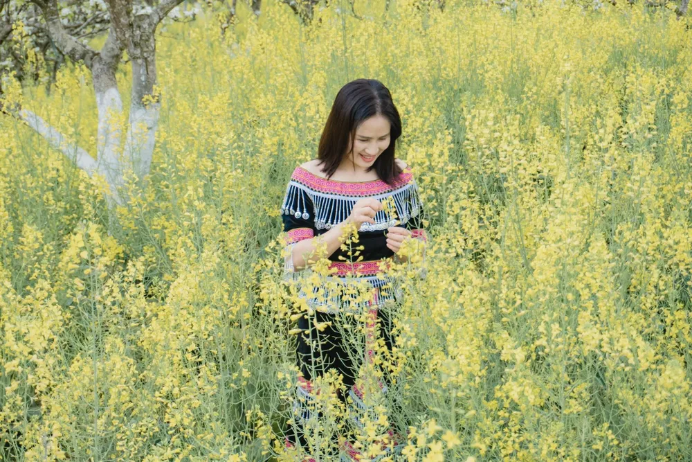 Nơi đây còn có hoa cải vàng đẹp lung linh hút hồn du khách. Ảnh: THU HIỀN. Nơi đây còn có hoa cải vàng đẹp lung linh hút hồn du khách. Ảnh: THU HIỀN.