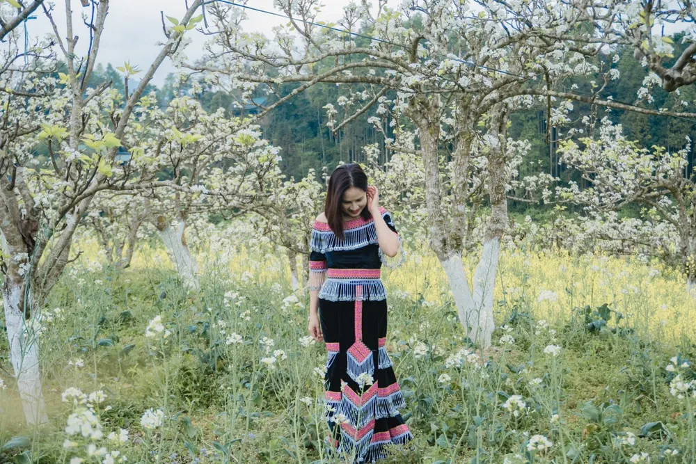 Du khách "sống ảo" trong vườn lê cổ thụ nhiều năm tuổi. Ảnh: THU HIỀN. Du khách "sống ảo" trong vườn lê cổ thụ nhiều năm tuổi. Ảnh: THU HIỀN.