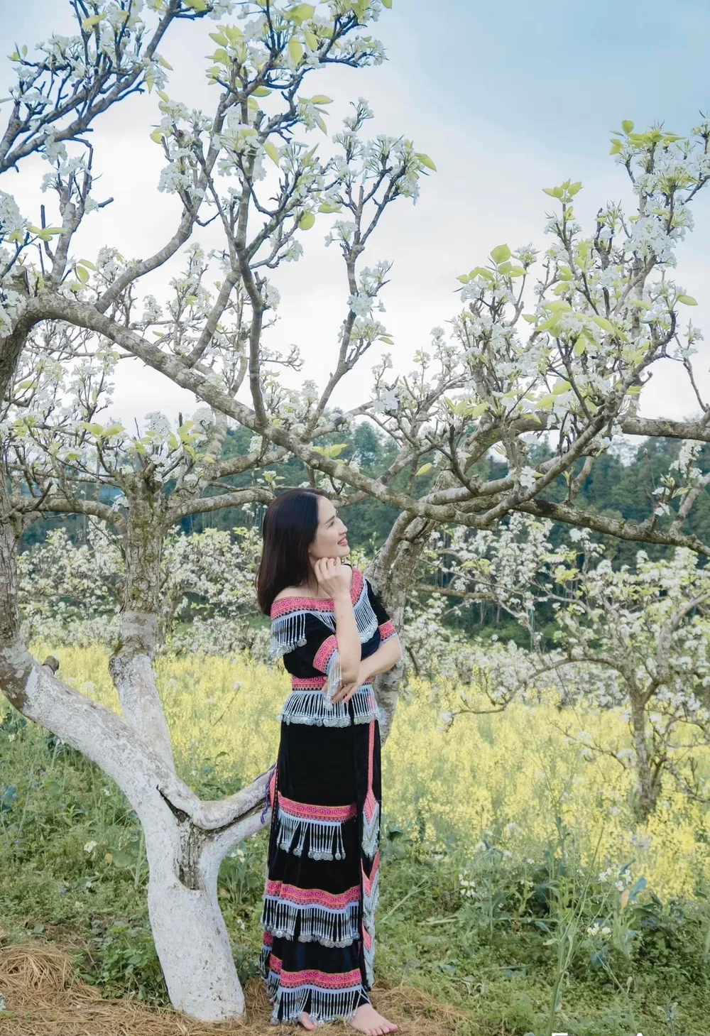 Thời điểm giao mùa cuối tháng 2 và đầu tháng 3 là lúc mùa hoa lê Bắc Hà nở rộ nhất. Ảnh: THU HIỀN. Thời điểm giao mùa cuối tháng 2 và đầu tháng 3 là lúc mùa hoa lê Bắc Hà nở rộ nhất. Ảnh: THU HIỀN.