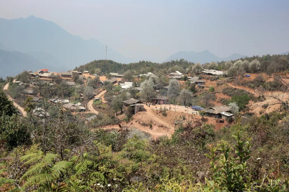 Hoa sơn tra bao quanh và bảo vệ các bản làng. Ảnh: LẠC LẠC.