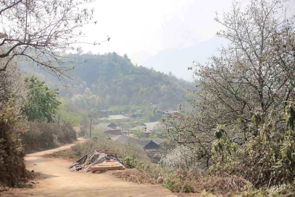 Cung đường đến với hoa sơn tra. Ảnh: LẠC LẠC.