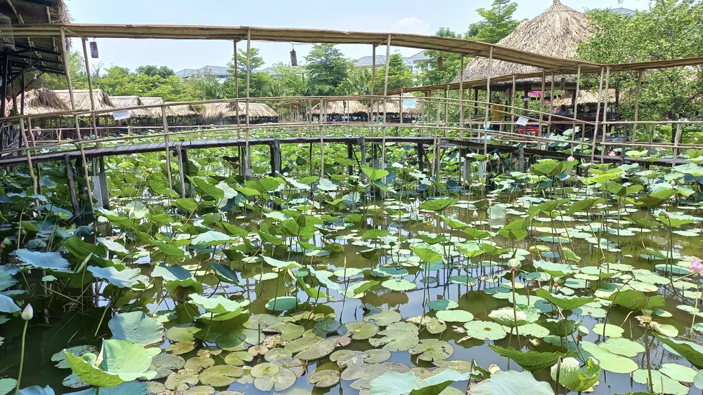 Khu ẩm thực sinh thái Sen Nam Bộ. Ảnh: CTV
