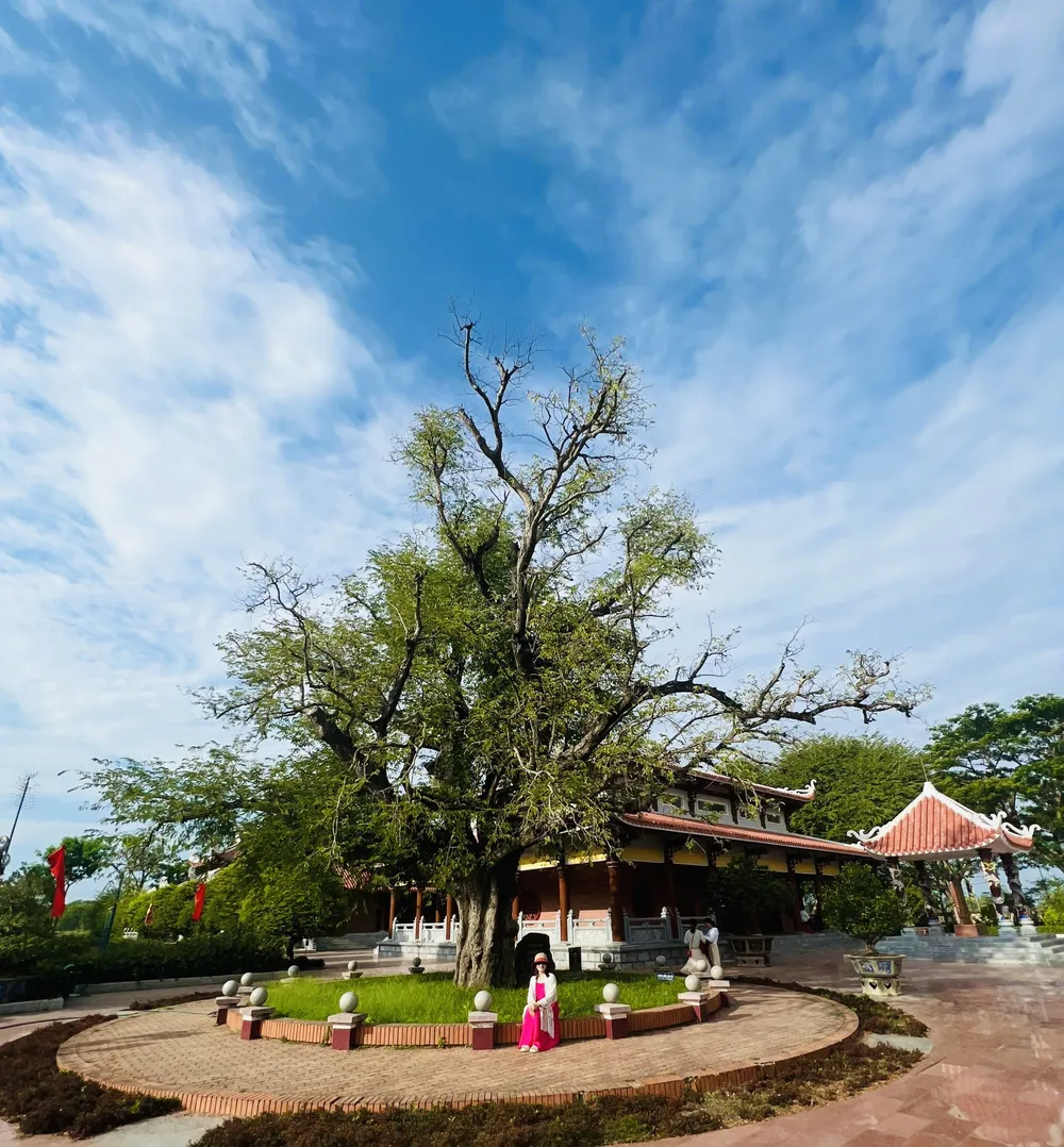 Du khách chụp hình lưu niệm bên cây me 300 tuổi. Ảnh: HIỀN NGUYỄN.