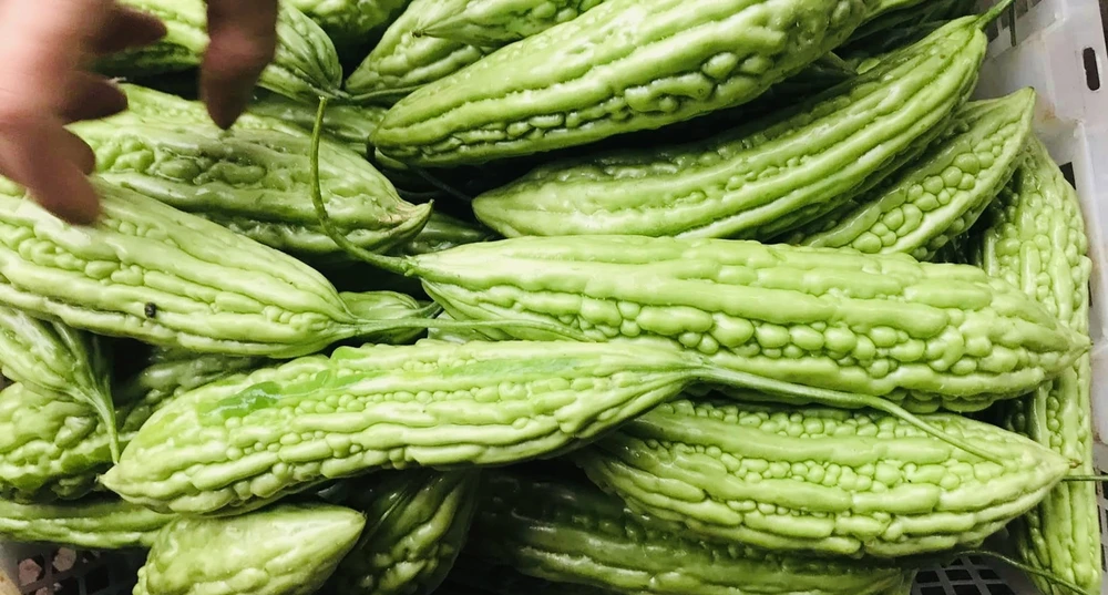 Ăn mướp đắng sẽ giúp điều chỉnh lượng đường trong máu. Ảnh: PHƯƠNG LÊ.