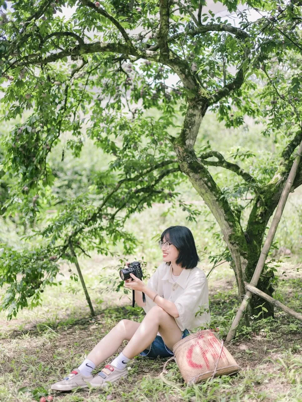 Du khách check-in tại vườn mận. Ảnh: HẰNG HOÀNG.