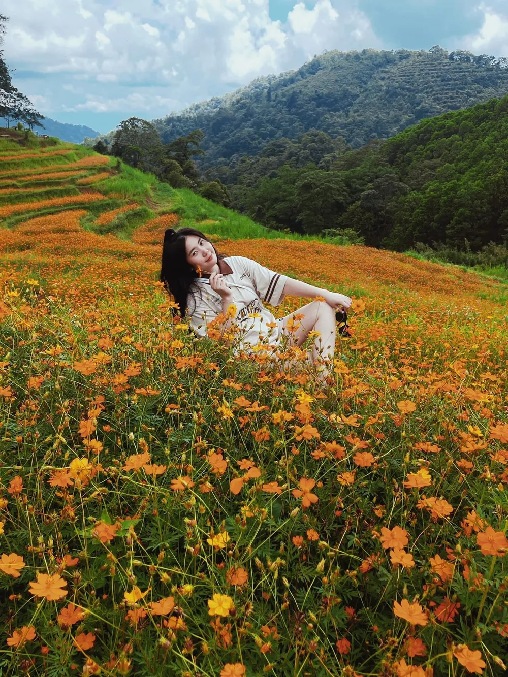 Sắc vàng của hoa bao phủ cả triền đồi. Ảnh: Lili Phạm. Sắc vàng của hoa bao phủ cả triền đồi. Ảnh: Lili Phạm.