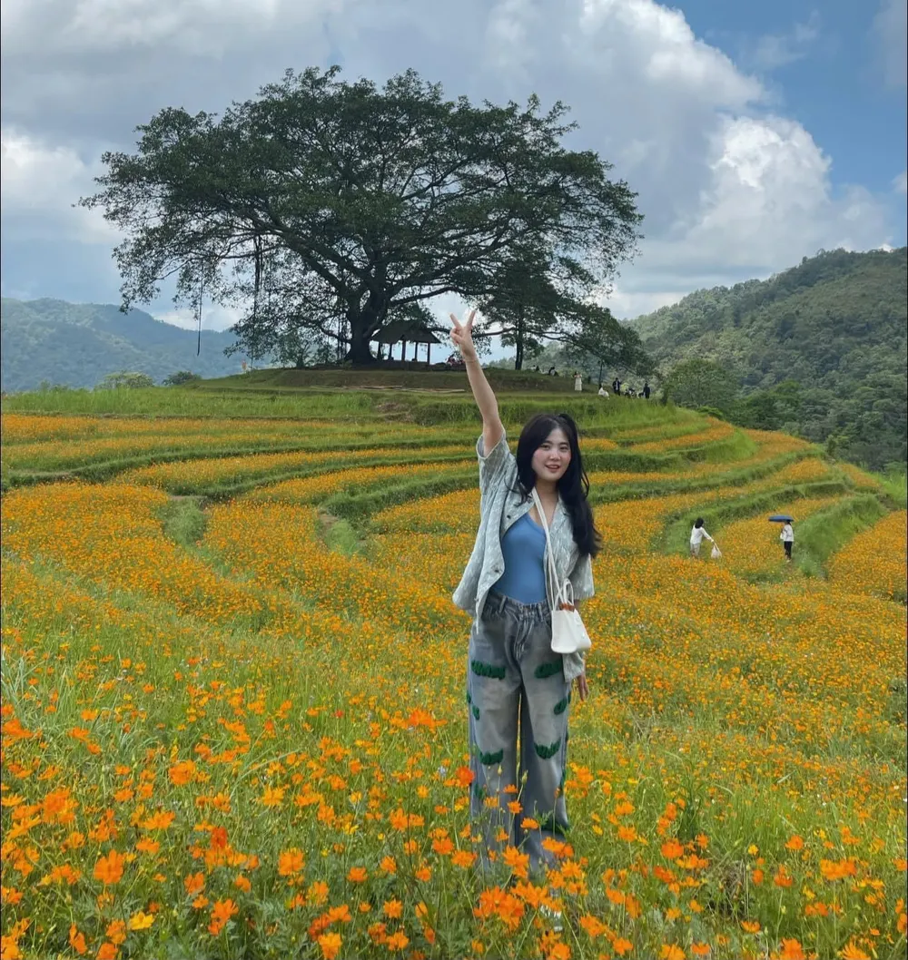 Vẻ đẹp ngất ngây của đồi hoa. Ảnh: Lili Phạm. Vẻ đẹp ngất ngây của đồi hoa. Ảnh: Lili Phạm.