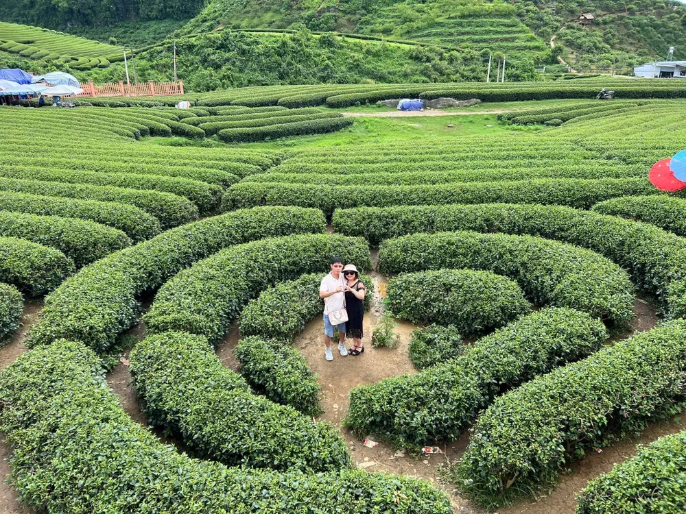 Đồi chè trái tim hay còn gọi là đồi chè trái tim Đài Loan, nơi thu hút đông đảo du khách check-in và trải nghiệm. Ảnh: Hoài An. Đồi chè trái tim hay còn gọi là đồi chè trái tim Đài Loan, nơi thu hút đông đảo du khách check-in và trải nghiệm. Ảnh: Hoài An.