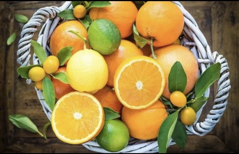 Trái cây có múi. Ảnh: Health.