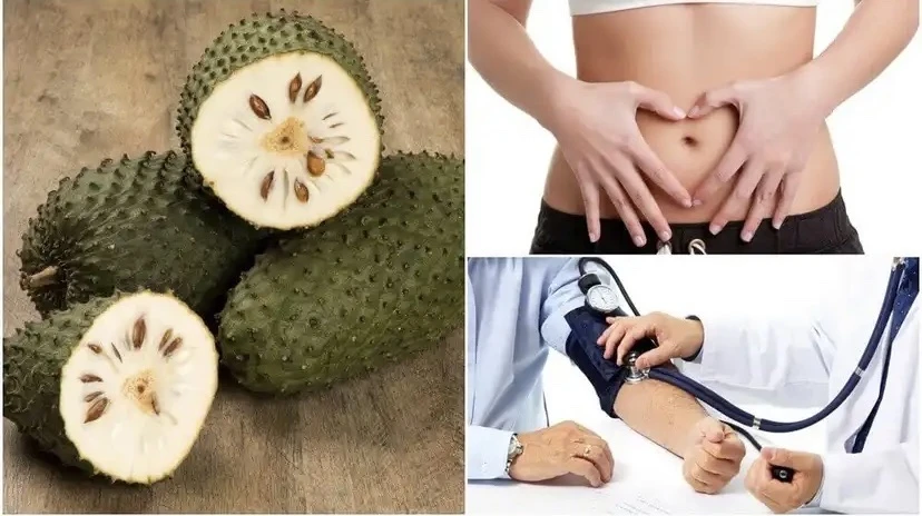Mãng cầu xiêm đã được đánh giá cao về dược tính và lợi ích cho sức khỏe. Ảnh: Steptohealth.