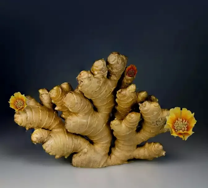 Củ gừng được biết đến với tính chống viêm và chống oxy hóa. Ảnh: Pexels.