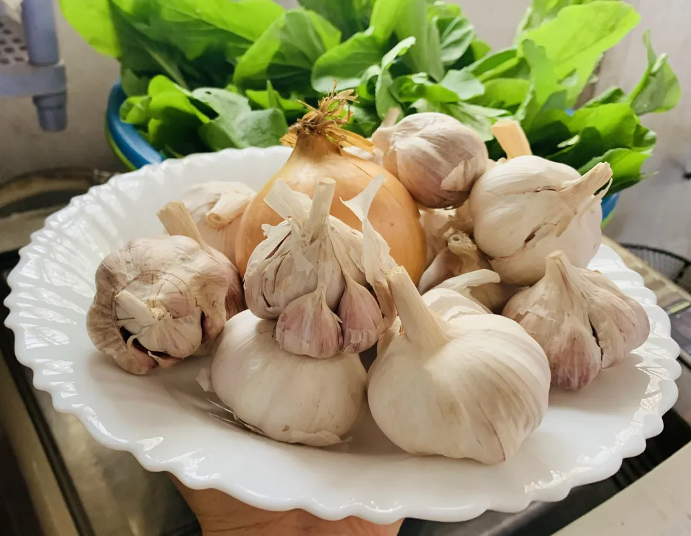 Tỏi chứa allicin, một hợp chất kháng khuẩn mạnh giúp chống lại ký sinh trùng đồng thời tăng cường khả năng miễn dịch của chúng ta. Ảnh: PHƯƠNG LÊ. 6 -nguyen- lieu- nha- bep- nay- co-the- thay-the-khang- sinh.jpg