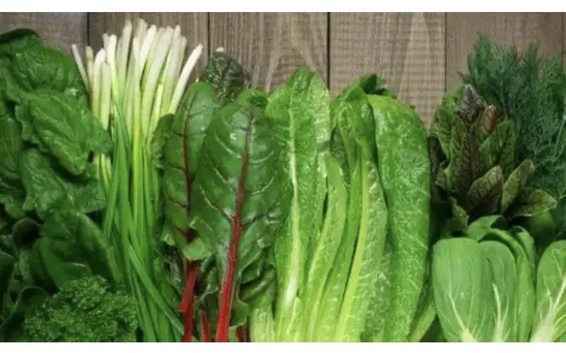 10- loai -thuc- pham- co-the-giup- kiem -soat- benh- loang -xuong.jpg