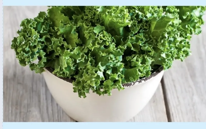 Cải xoăn là một loại rau tuyệt vời có chứa các chất dinh dưỡng như vitamin K, vitamin A, vitamin C, vitamin B9... rất tốt cho sức khỏe. Ảnh: Foodworldblog. day-la-nhung-dieu-se-xay-ra-khi-ăn-cai-xoan-moi-ngay.jpg