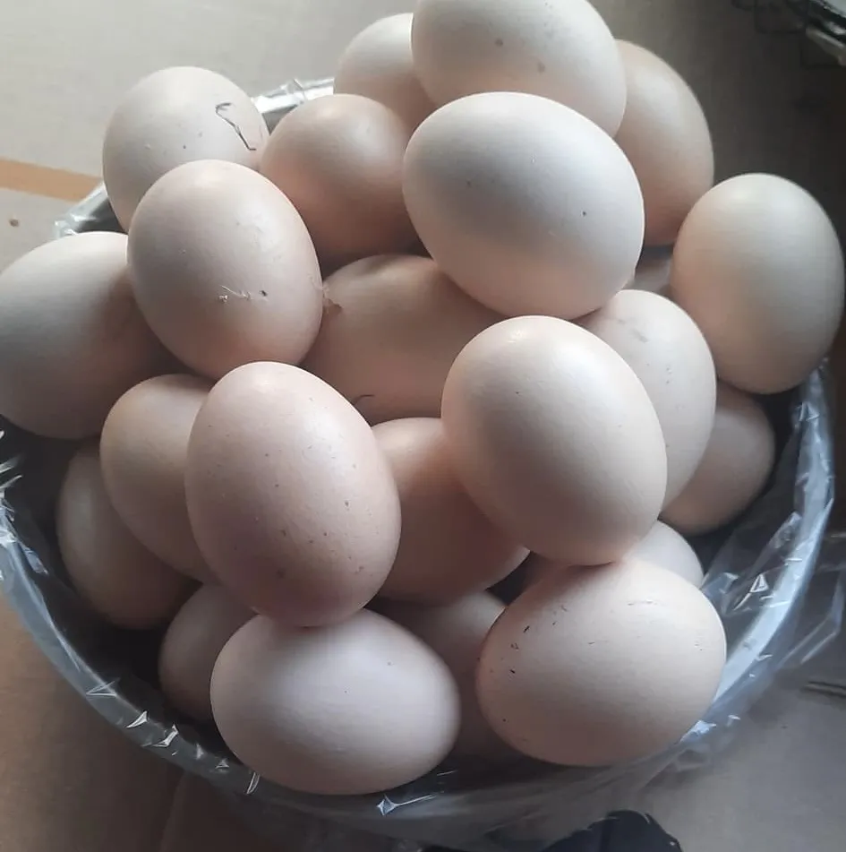 An -thuc-pham-nay-giup-tang-so-luong-tieu-cau-2.jpg