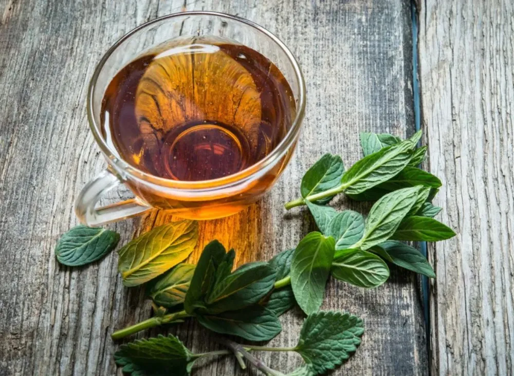 Trà bạc hà có thể làm giảm khí, đầy hơi và khó tiêu. Ảnh: Shutterstock. Day-la-nhung-do-uong-giup-dot-chay-mo-bụng-tra-bac-ha.jpg