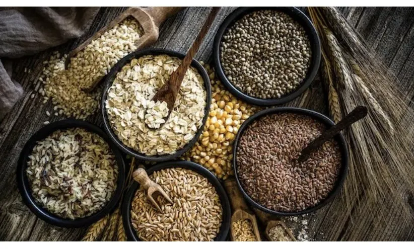 Chất xơ làm tăng bài tiết muối mật, làm giảm cholesterol. Ảnh: Istock. Tang-cuong-dinh-duong-bang-nhung-thuc-pham-chuc-nang-nay-1.jpg