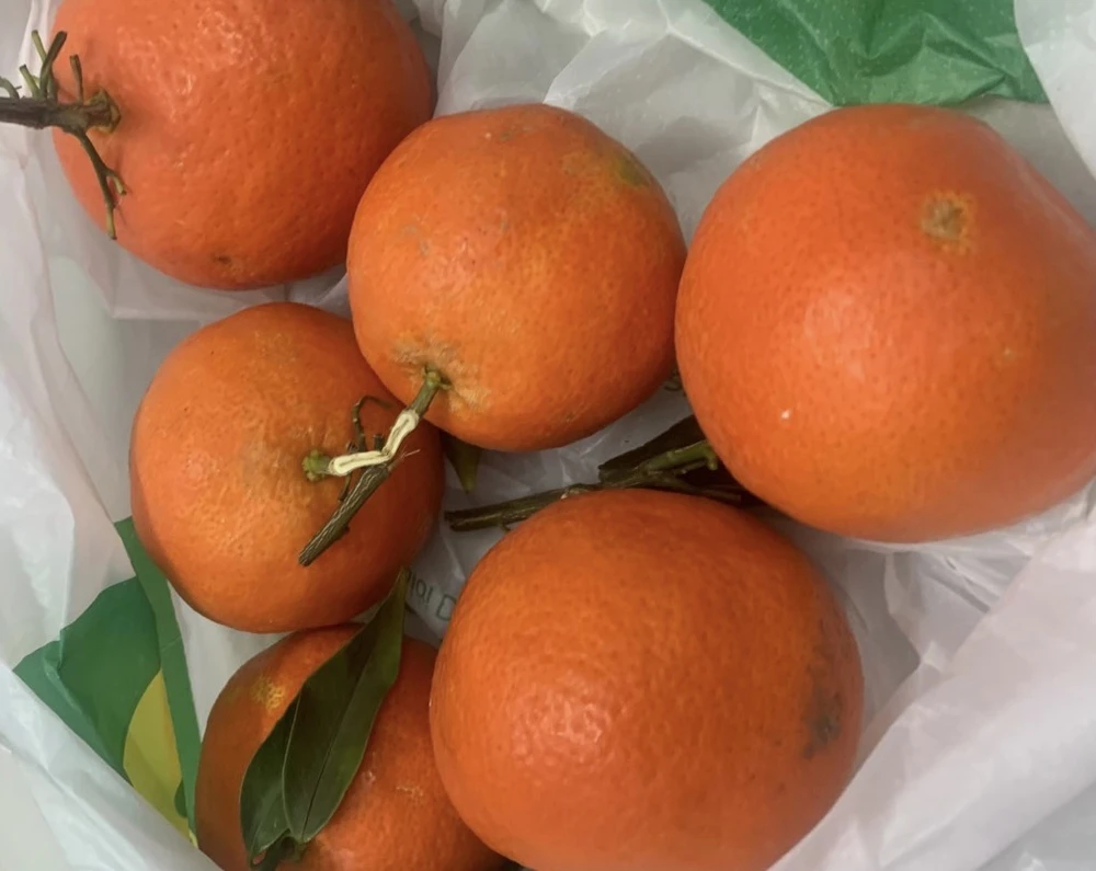 Đây là những thực phẩm giàu hàm lượng vitamin B9 nhất.jpg