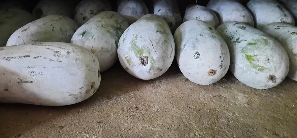 10 loại rau ít carb tốt nhất để giảm cân.jpg