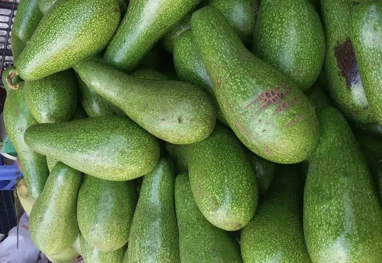 11 thực phẩm giúp giải độc cơ thể một cách tự nhiên.jpg