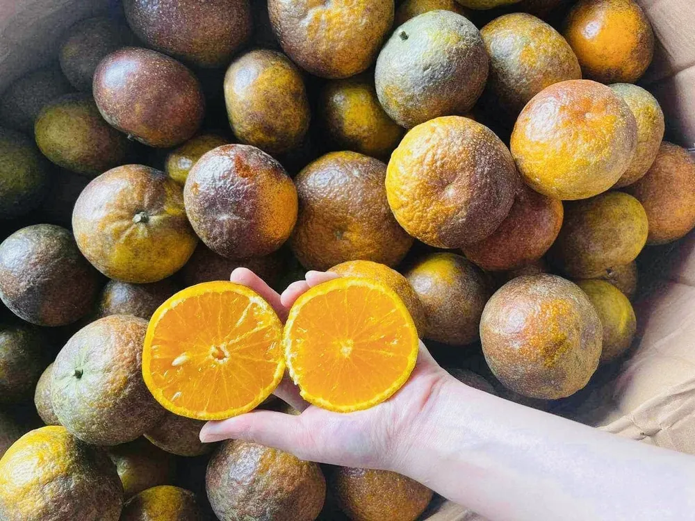 Tránh kết hợp trái cây với 5 thực phẩm này để sức khỏe không gặp rắc rối.jpg