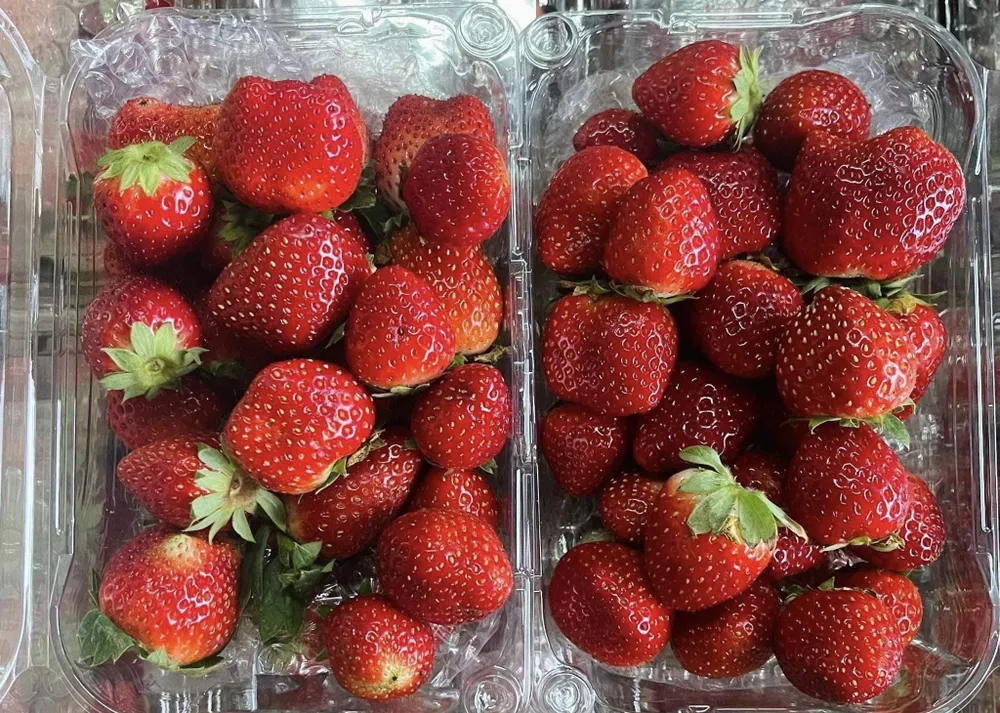 10 siêu thực phẩm có thể giúp đốt cháy chất béo cứng đầu.jpg