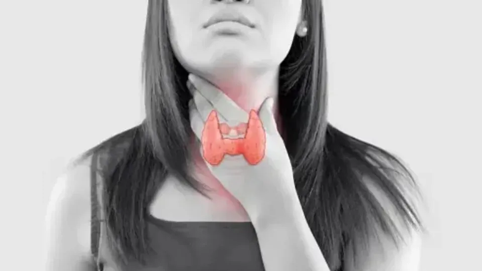 Nếu bạn đang bị rối loạn tuyến giáp thì việc bổ sung 5 chất dinh dưỡng quan trọng này vào chế độ ăn uống có thể nâng cao sức khỏe của mình. Ảnh: Unsplash. 5 chất dinh dưỡng quan trọng mà bệnh nhân tuyến giáp cần có trong chế độ ăn uống.jpg