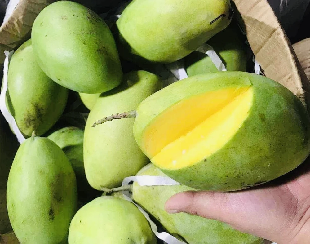 Xoài là vua của các loại trái cây hấp dẫn của mùa hè, nó có vô số chất xơ, vitamin và chất chống oxy hóa có thể giúp bạn dễ tiêu hóa và hỗ trợ hệ thống miễn dịch. Ảnh: PHƯƠNG LÊ. 10 loại trái cây dưỡng ẩm giúp đánh bại nắng nóng và giữ sức khỏe.jpg