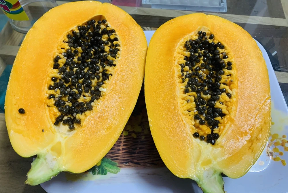 Nghiên cứu cho thấy rằng một số hợp chất trong đu đủ có thể hỗ trợ giảm viêm, cải thiện tiêu hóa và giảm nguy cơ tiến triển bệnh Alzheimer. Ảnh: PHƯƠNG LÊ. Ăn đu đủ giúp làm chậm sự tiến triển của bệnh Alzheimer, phòng một số loại ung thư.jpg