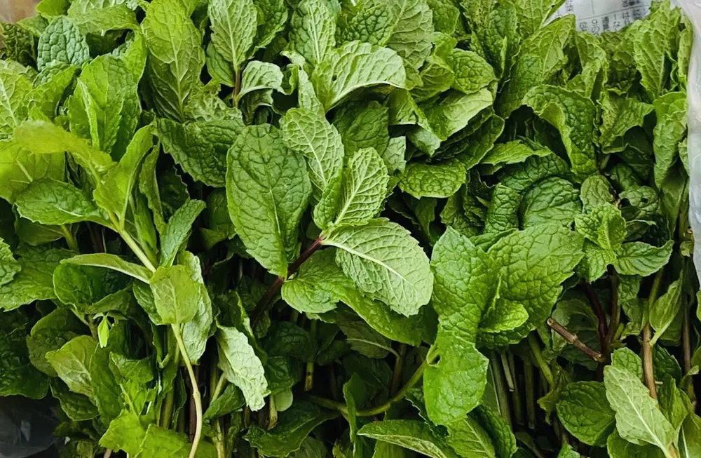 Giải nhiệt cơ thể bằng 6 món ăn uống từ bạc hà.jpg