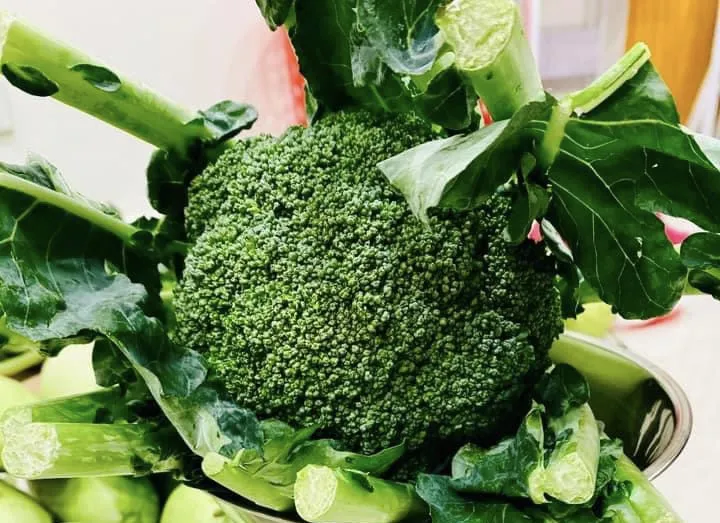 Chuyện gì sẽ xảy ra khi ăn rau giàu protein mỗi ngày.jpg