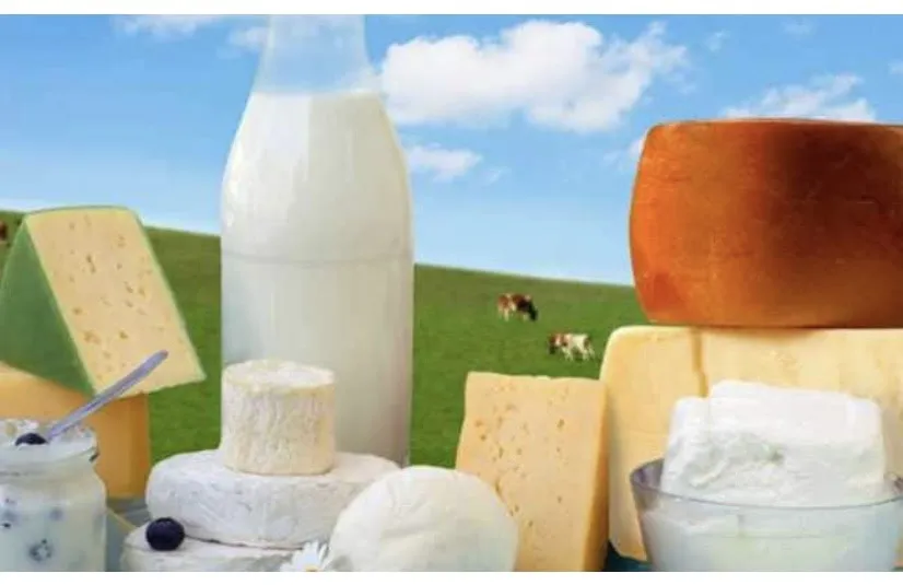 Chế độ ăn không chứa lactose đòi hỏi việc tránh các thực phẩm và đồ uống có chứa lactose, một loại đường có trong sữa và các sản phẩm từ sữa. Ảnh: iStock. Những lợi ích sức khỏe của chế độ ăn không chứa lactose.jpg