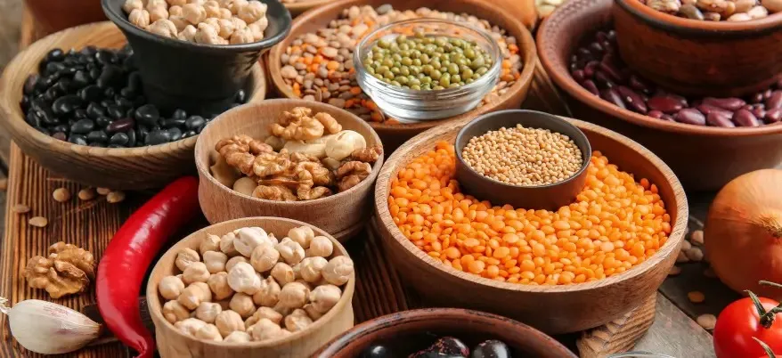 Các loại đậu còn là nguồn cung cấp protein thực vật tuyệt vời từ đó hỗ trợ giảm cân hiệu quả. Ảnh: Pixel-Shot – stock. 4 loại thực phẩm hỗ trợ giảm cân và giảm cholesterol.jpg