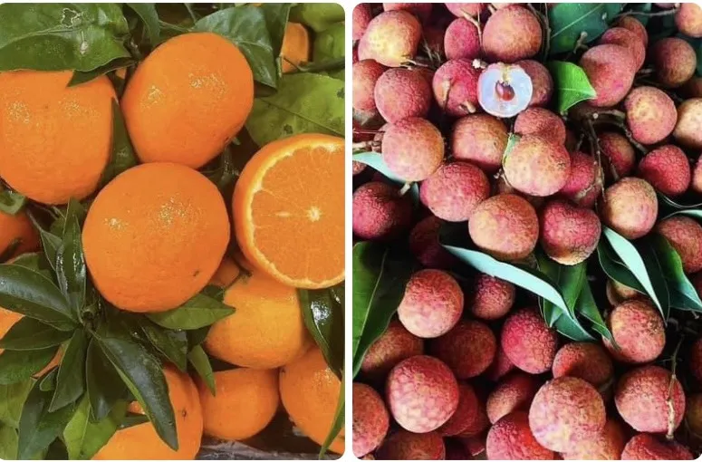 12 loại thực phẩm giúp tăng cường sức khỏe hô hấp tự nhiên.jpg